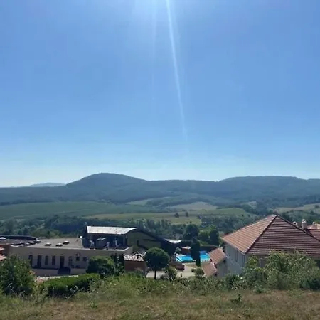 Panorama Duna アパート *